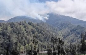 Gunung Semeru Ditutup Total Imbas Karhutla, Ribuan Pendaki Gagal Melanjutkan Perjalanan