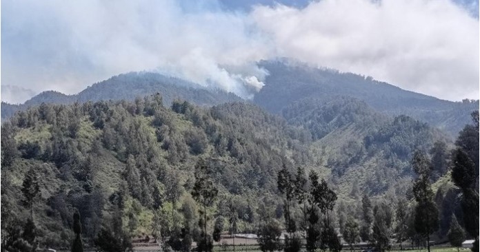 Gunung Semeru Ditutup Total Imbas Karhutla, Ribuan Pendaki Gagal Melanjutkan Perjalanan