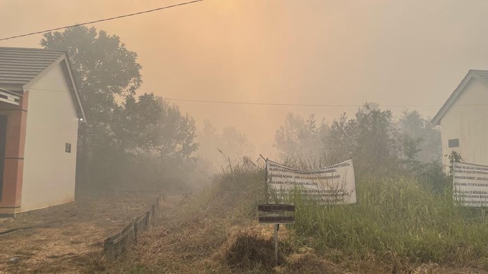 Kasus ISPA Buntut Karhutla di Kalimantan Meningkat, Kemenkes Perkuat Posko Kesehatan dan Penanganan Asap